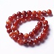 Natural Agate Beads Strands G-P434-09C-C-1