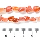 Natürliche Achat Perlen Stränge&nbsp;G-P497-01C-11-5