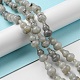 Chapelets de perles en labradorite naturelle  G-C039-A01-2