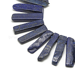 Chapelets de perles en lapis-lazuli naturel, perles percées, teinte, rectangle, 20~65x7~15x6~10mm, Trou: 2mm, Environ 30~40 pcs/chapelet, 15.75 pouce (40 cm)