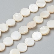 Бусины из натуральных пресноводных ракушек BSHE-I011-01D-02