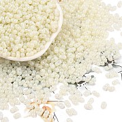 Выпечка краска стеклянные бусины SEED-L011-09A-17