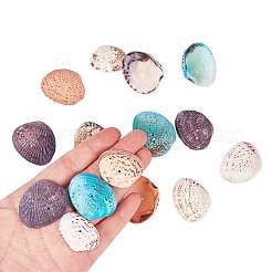 Gefärbte natürliche Muschelperlen&nbsp;BSHE-PH0003-02