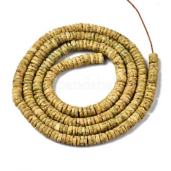 Naturali di mare shell perle fili&nbsp;SSHEL-N032-22E