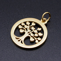 Pendentifs en acier inoxydable 304&nbsp;STAS-T046-JA350-2