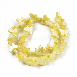 Naturali di acqua dolce perline shell fili&nbsp;SHEL-N026-206D