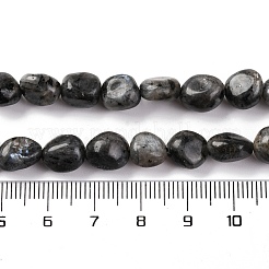 Natürliche Larvikit-Perlenstränge&nbsp;G-G146-A13-01