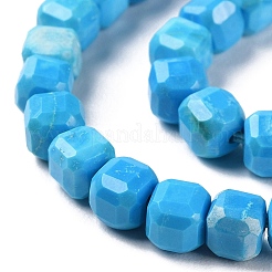 Fili di perline howlite naturale&nbsp;G-G001-A01-01