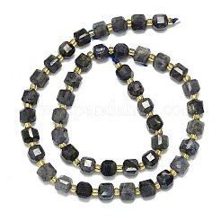 Filo di perline di iolite naturale&nbsp;G-I376-D60-01