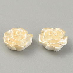 Cabochons di opaco resina&nbsp;CRES-WH0010-032E-01