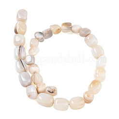 Brins de perles d'agate à bandes naturelles&nbsp;GG-CBA9392-11