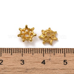 Legierung Perlen Kappen&nbsp;LS-FIND-G074-01G