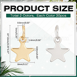 60 Stück 2 Farben 304 Edelstahl-Charms&nbsp;PALLOY-ME00007