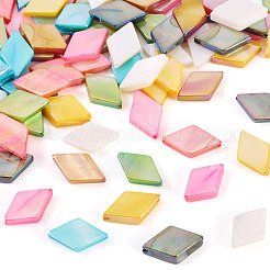80 Stück 8 Farben gefärbte natürliche Süßwasser-Muschelperlen&nbsp;SHEL-TA0001-26