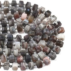 Natur Botswana Achat Perlen Stränge&nbsp;G-G453-G10-7x12mm