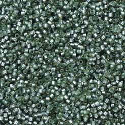 Miyuki Delica Perlen&nbsp;SEED-MY11-DB0689