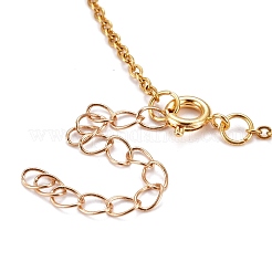 Collane del pendente elefante&nbsp;NJEW-JN03078-05