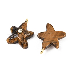 Pendentifs en œil de tigre naturel&nbsp;G-H353-01G-08