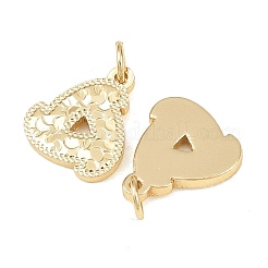 Charms in ottone&nbsp;KK-Z146-09F-G