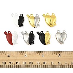 10 Satz magnetische Anhänger aus sprühlackierter Legierung&nbsp;FIND-FS0004-24