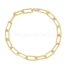 Colliers pour animaux de compagnie avec chaîne en fer et trombone&nbsp;NJEW-JN05393-01