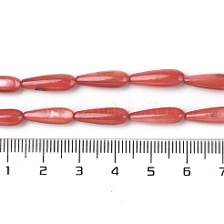 Naturali di acqua dolce perline shell fili&nbsp;SHEL-A004-03F