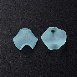 Transparente Acryl Perlen&nbsp;LS-MACR-S373-106-D04