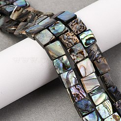 Paua naturale perline shell fili&nbsp;BSHE-ZX006-07A