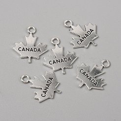 Pendente in lega stile tibetano&nbsp;FIND-CJC0018-29AS