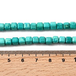 Kunsttürkisfarbenen Perlen Stränge&nbsp;G-F797-A10-01