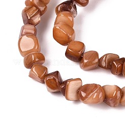 Hebras naturales de cuentas de concha de agua dulce&nbsp;SHEL-N037-04C