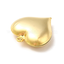 Cremagliera pendenti in ottone placcatura&nbsp;KK-K269-02G-RS