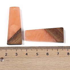 Colgantes de resina & madera&nbsp;WOOD-F015-04F