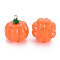 Pendenti in resina opaca a tema autunnale&nbsp;X-RESI-S356-079