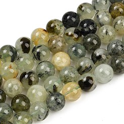 Perline Prehnite naturale fili&nbsp;X-G-P322-48-10mm-01