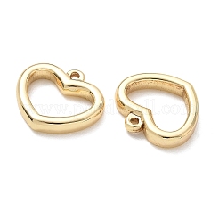 Colgantes de acero inoxidable 304&nbsp;SA-CBA3037-21G-01