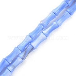 Naturali di acqua dolce perline shell fili&nbsp;SHEL-G013-01