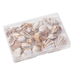 30pcs 10 Arten Acrylanhänger&nbsp;PALLOY-JF03989-02