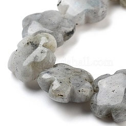 Natur Labradorit Perlen Stränge&nbsp;G-F769-P01-01