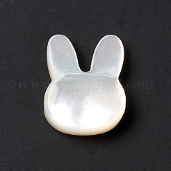 Perle di conchiglia bianche naturali&nbsp;BSHE-C003-01C