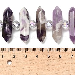 Natürliche Amethyst-Doppelendperlenstränge&nbsp;G-H069-B16-01