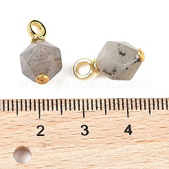 Pendentifs en pierre de lune grise naturelle&nbsp;G-C148-01B-G