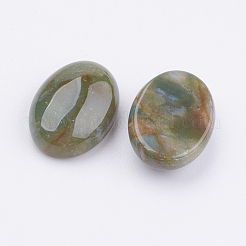 Natur Indien Achat Cabochons&nbsp;X-G-K217-01D