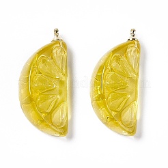 Pendentifs en résine transparente&nbsp;LS-RESI-P020-01P