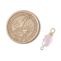 Gefrostete Blume natürliche Süßwasserzuchtperle & Acryl-Anschluss-Charms&nbsp;PALLOY-JF03590-03