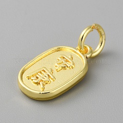 Pendenti in lega con caratteri cinesi&nbsp;FIND-WH0159-63G-26