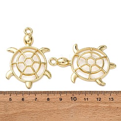Legierung große Anhänger & Charms&nbsp;FIND-Z095-03G