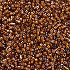 Miyuki Delica Perlen&nbsp;X-SEED-J020-DB1779