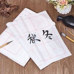 Carta per calligrafia cinese carta a quadretti&nbsp;OFST-WH0816-003B