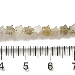 Natur Labradorit Perlen Stränge&nbsp;G-G085-B25-01